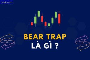 bear trap là gì
