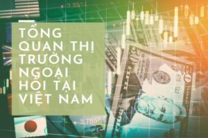 tổng quan thị trường ngoại hối tại Việt Nam